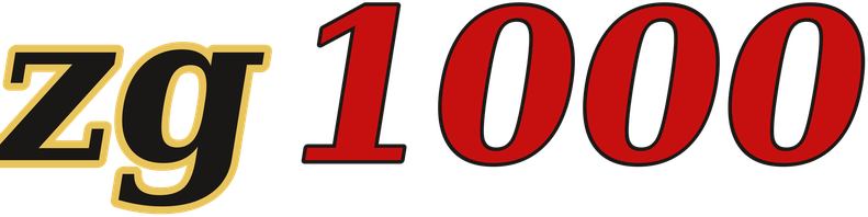 zg1000 logo